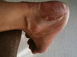 nwlqdegujsibtsvgsmjjcmxsp 159006