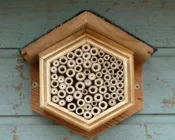 o91n3qwb4xfgevhgcxvgyk3dm 229924