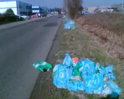 obzztdwi5bkyj00p7p50v2zpj 219374