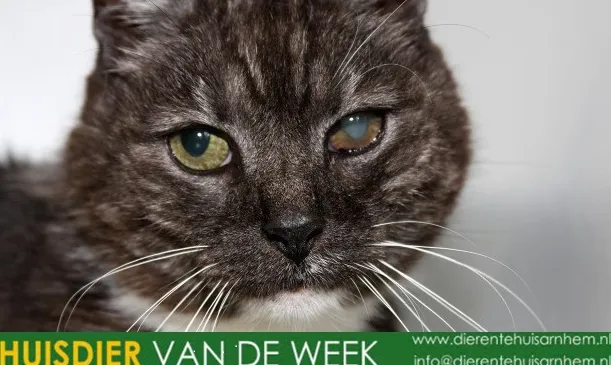 odo1nzklqaw3p8gxgmh9yzhj1 3