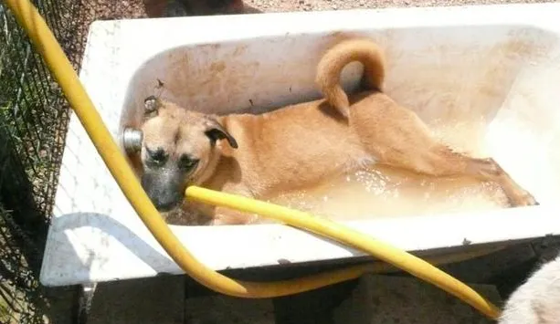 olt38cx6mah9w0tg99b04q9lr 1 298