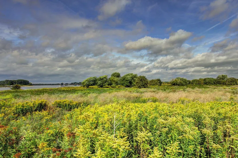 omgevingsvisiegemeentelingewaarduiterwaarden