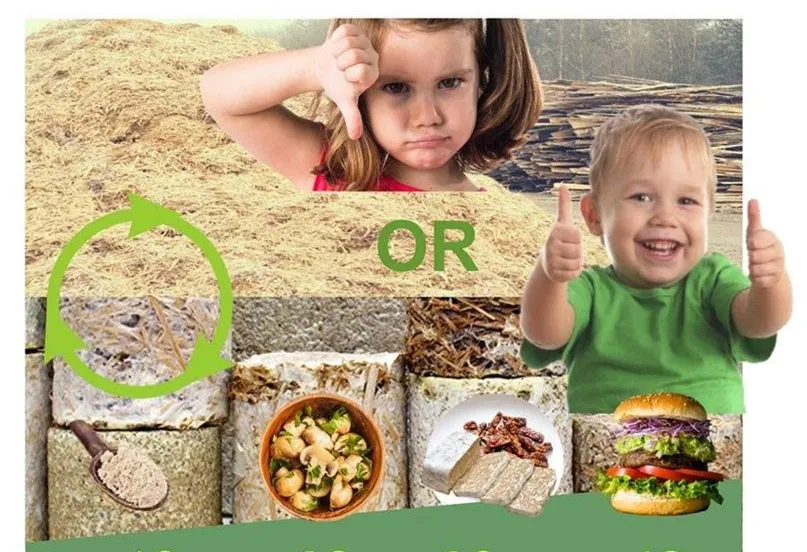 paddenstoelals eiwitbron110