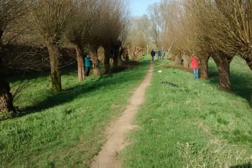 parkholthuizensln huissen wilgenlaant 20170325 voor 1024x575 1