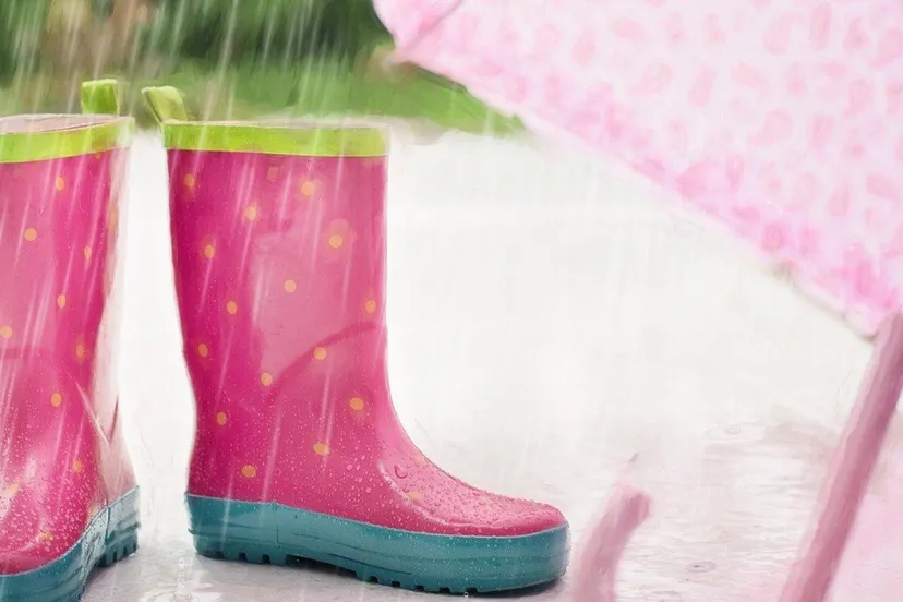 pleegouders1gem lingewaardregen