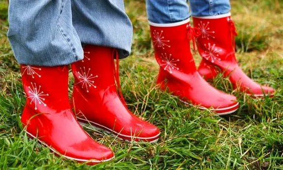 plph02369l4awee4xtz8gd6v9 1 860