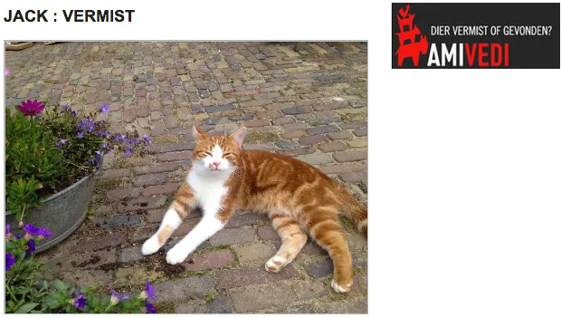 plq1fjhbzlekicvqmwwpba3db 1 303