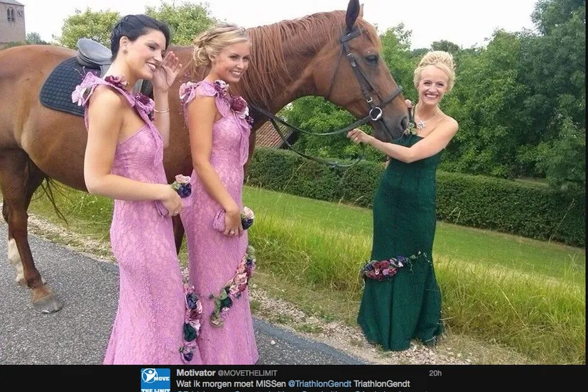 pmd8xwft7n6dx680hjuy83z6j 1 359