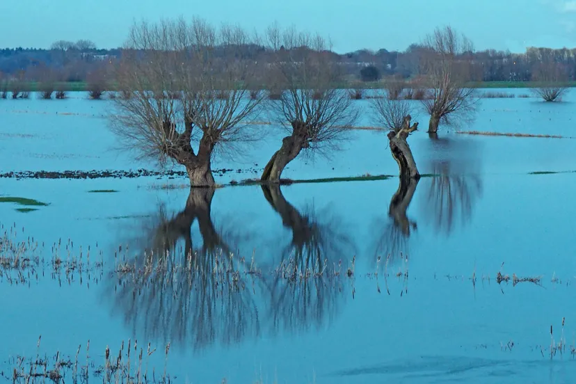 polderpixabay5368854 1920