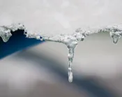 py44kb6us03gfzl82ntv667si 205522