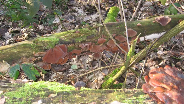 qocsdqyct8foqwxu5eiajwax3 1 111