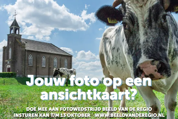 qzuphgag2kuf0y2lkmzb3y9lj fotowedstrijd