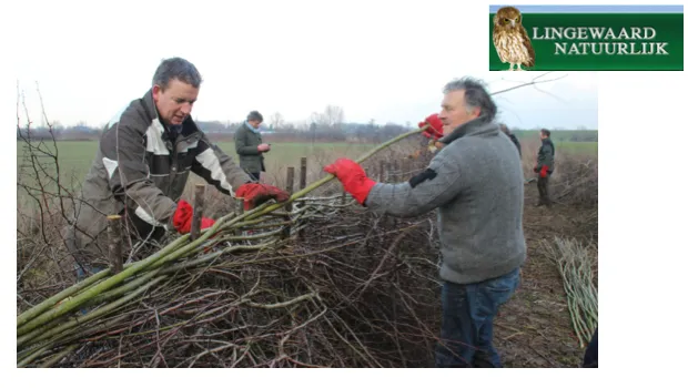 raof4q1n1twiqc3pj9yfmdltt 2014 01 2914 35 58