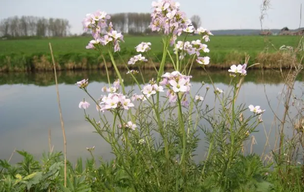 rh3rhrfhklk50bjv7ayg7qkn6 2014 03 2110 11 52