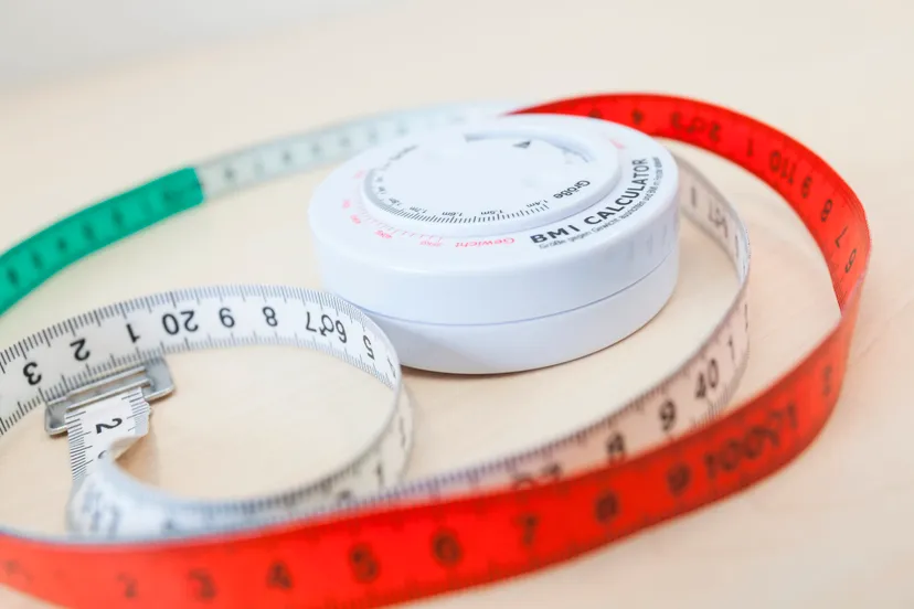 rijnstatevitalys 7844 kleiner scaled