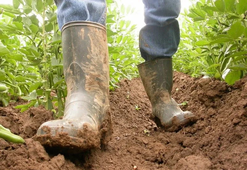 robinfoodcoalitiebiodiversitiet72