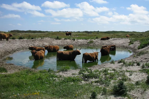 rpfbllyg28hnap4ktu4vlraab 2013 08 1209 44 43