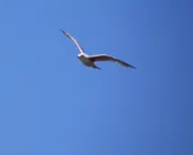 rttdnpe7yx3mtwm20fkmymlwd 232490