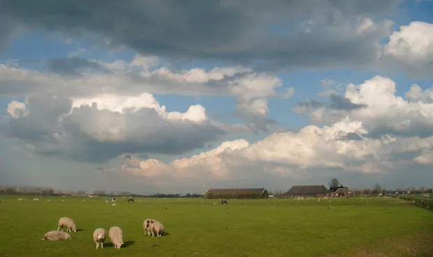 s0kg0yaxxt4r0zpcxgdagrgpr 1 618