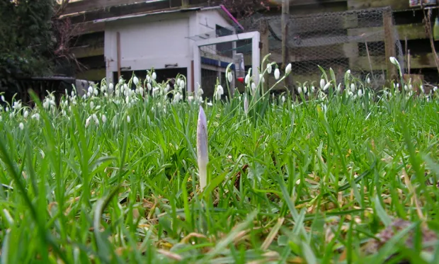 s2id4gyiwbp1kmmu2rf1dmawu 2014 02 2610 24 36