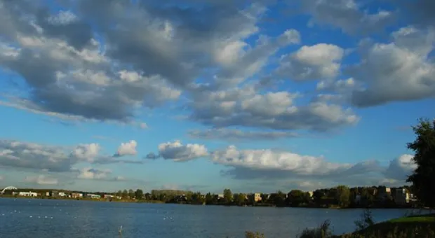 sawxzjw4fr5b091566c63q7t2 1 919