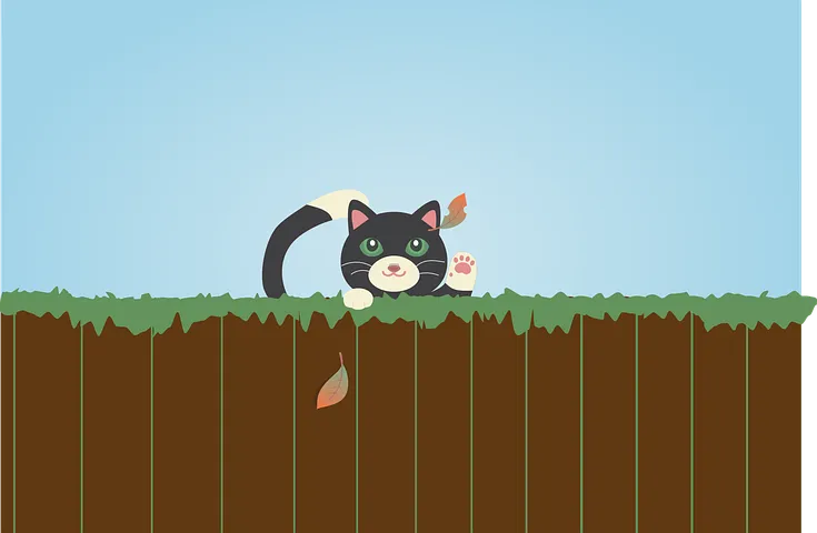 schuttingpixabayblack cat 5721615 480