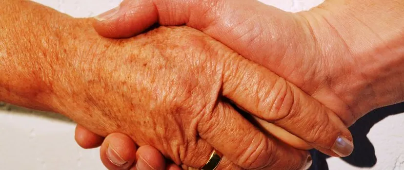 seniorrenondersteuninglingewaard