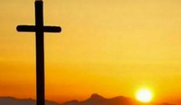 sf6u5m56anhzup03c2ky1k3v7 2 8