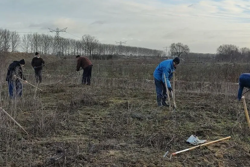 slnplaakseveldunnamed66