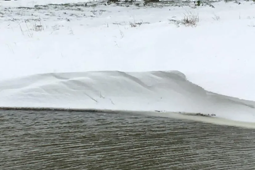 sneeuwduin tussen hofmeesterij en loovelden sandra priem
