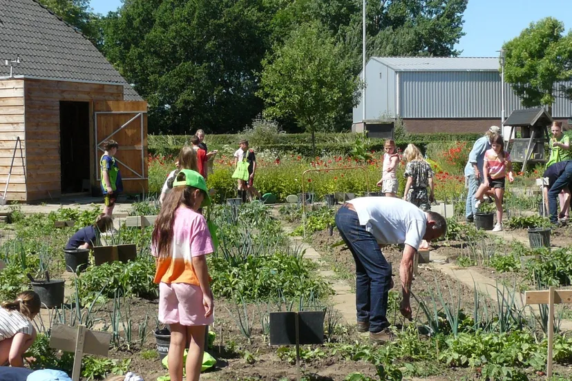 steenbreektrofeeschooltuin