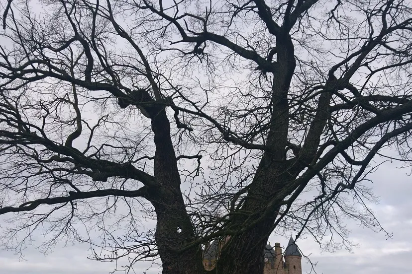 stichting lingewaard natuurlijklezing2
