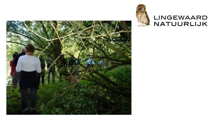 struinexcursie lingewaard natuurlijk