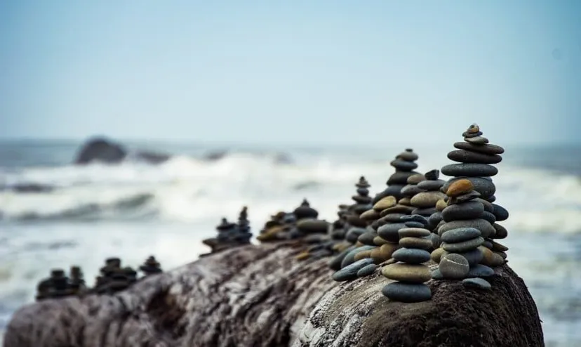 swlgeduldtylermilliganae520e86 f059 4958 8244 fb9f3e10b51e thumb840