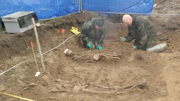 syev76n80zwtfm3ncgxnyhfew 1 690