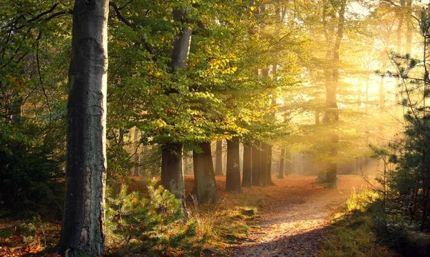 szpsabsqgbves0tigbtf8v0g9 1 28