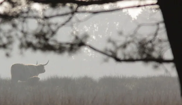 t7411gc07y7u2by7qwfzp8vd4 2013 10 0508 54 10