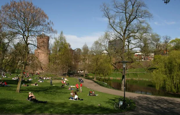 tdg1zqav6i06dsnk1y71l32ah 11 68