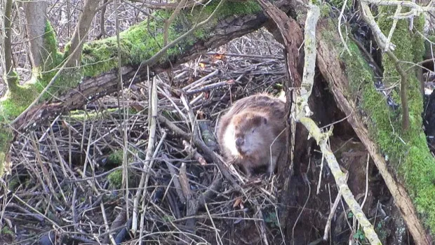 tnrn4yznn5c7ihj1arxj7qgrs 2013 07 1718 33 08