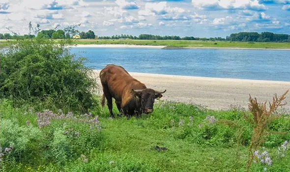 tqnjapoopbnjbkag6wi5byhby 1 377