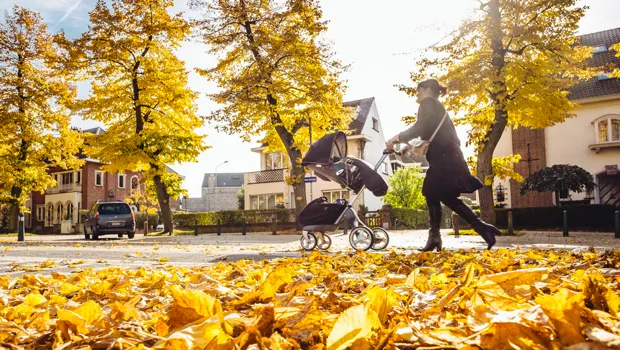 tquqfss8r4lbiuf0p23b2abqr 11 97