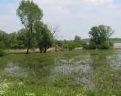 u8eq68wv6xpm5ss8nv1j1f7rs 219867