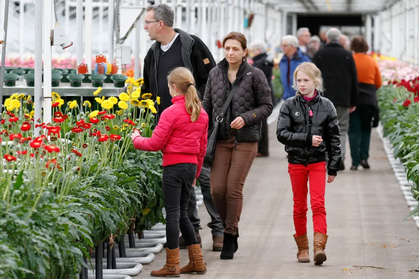 ufk0rhd1huxltjqrkm1oskhwg 2 103