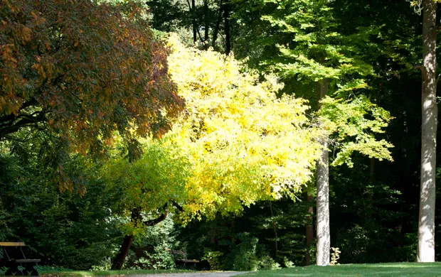 uhk9lmv9nihnh8shw1dnj0o0e zon