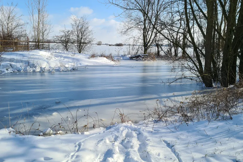 uiterwaardenbij zwanenwater huissen marjoke du bois