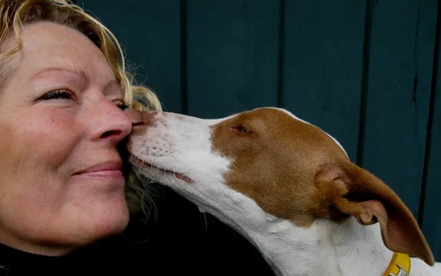 urn5dmn47i724giaeqhjz1ibj 2013 06 1918 53 42