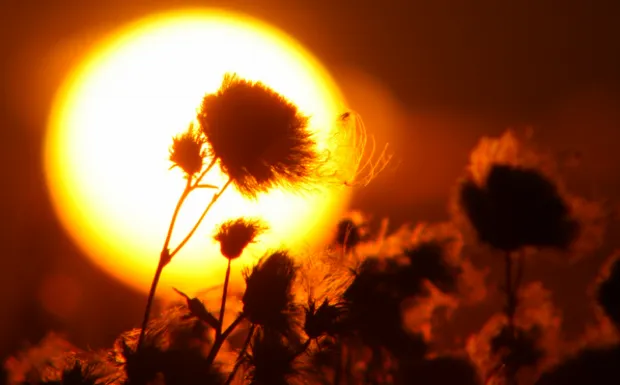 uswdsg6a5t8sikhfwo519klk9 2013 07 0319 45 18