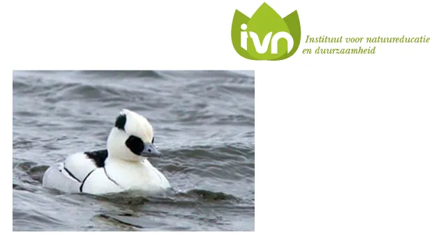 uy0lopko7q94hj76267cs3ry2 2014 01 2317 09 10