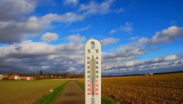 v4ib5t8l3e93ht4ils4xjrro1 00 14