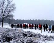 v71vtdpmd3wi0bffyqf11859j 205399